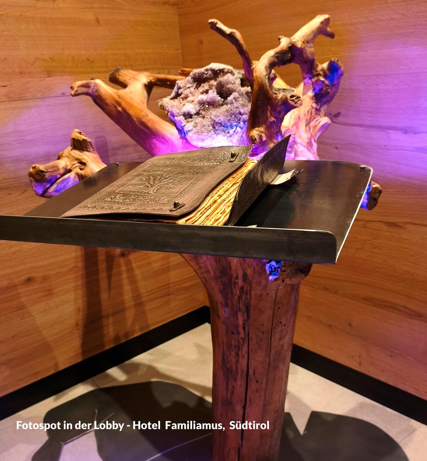 Hotel-Familiamus-Gaestebuchkonsole-wurzelrebell-wurzel-wildholzkunst