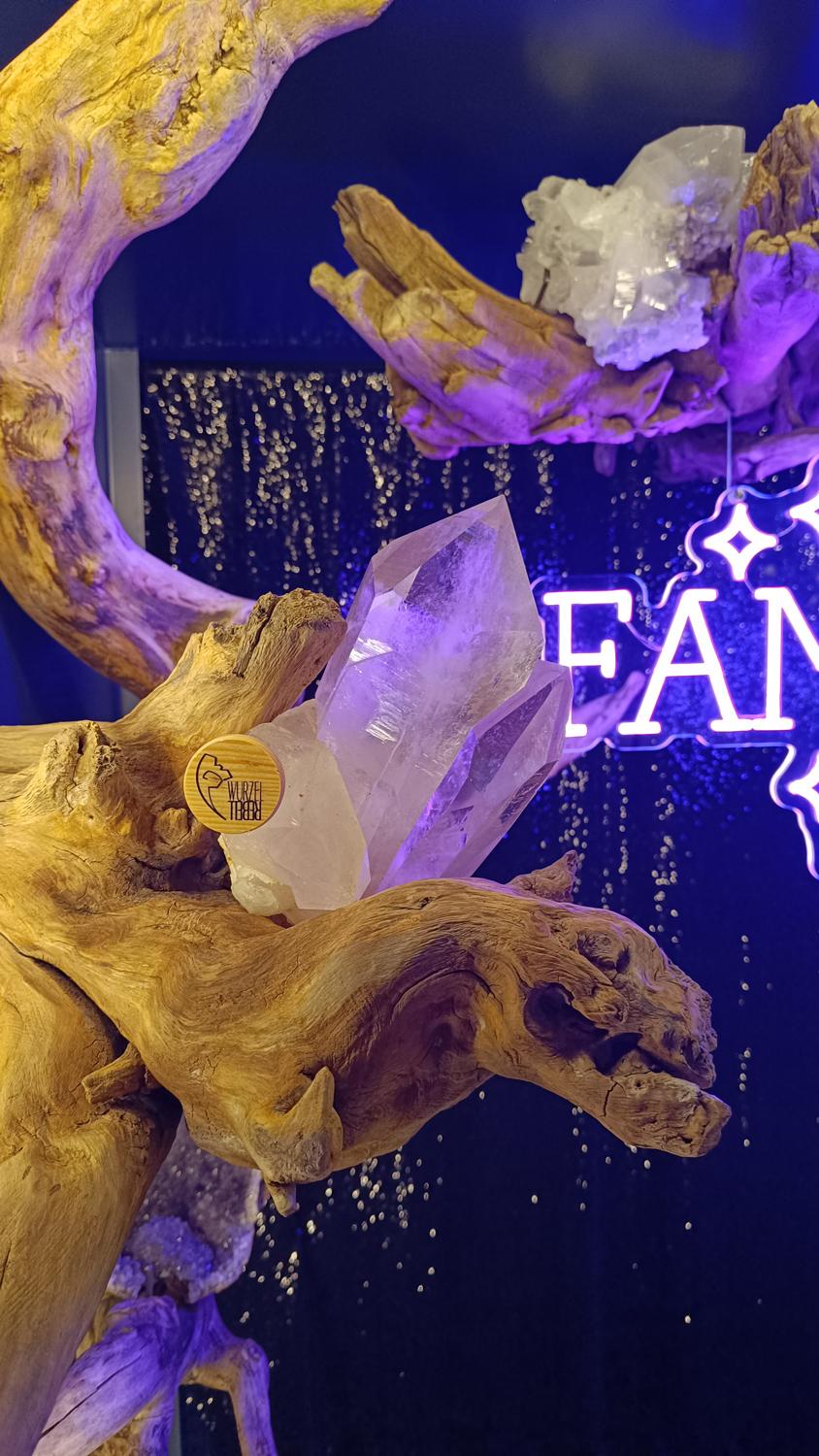 Orte-der-Bedeutung-Hotel-Familiamus_Fotospot_Wurzelrebell_Kunsthandwerk_InteriorDesign-003