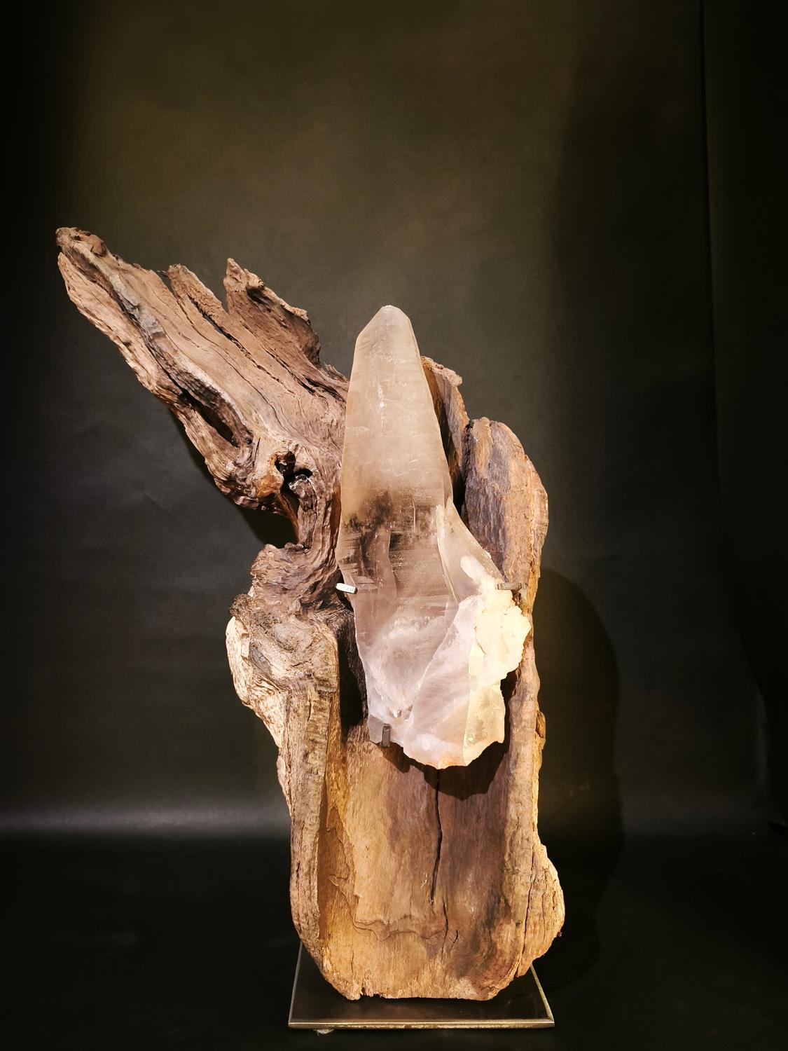 unikate-besondere-anlaesse-Wurzelrebell-wildholz-design-003